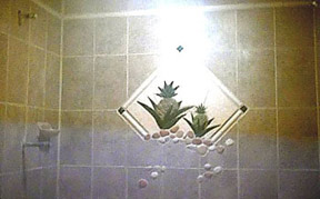 twin shower wall pineapple mural