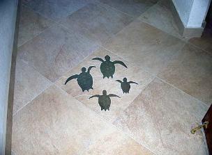 turtles in entry floor