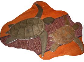 custom pool turtles